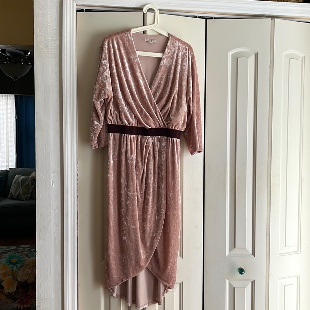 EVA MENDES VELOUR PINK DRESS SIZE XL
